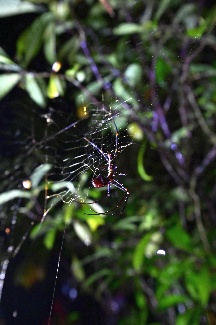 ./resources/album/12/org/DSC_3958.JPG