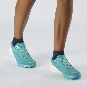 salomon pro sense 4